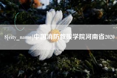昌吉中国消防救援学院河南省2020
